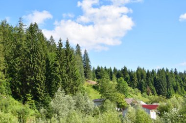 Dağların güzel manzarası