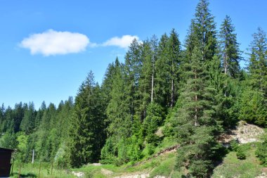 dağ manzarası, doğa ve seyahat