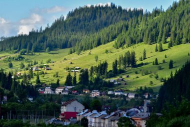 Karpat Dağlarının güzel yaz manzarası