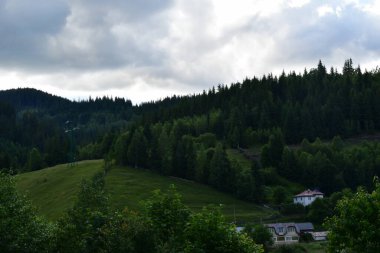 Ukrayna 'daki Karpat Dağları