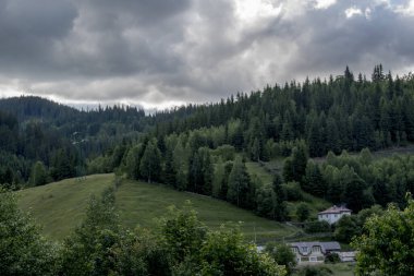 Yazın Karpat Dağları