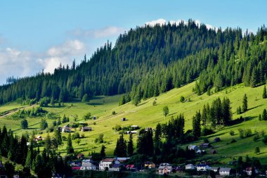 mountain landscape with blue sky and green grass, carpathian mountains, ukraine