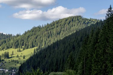 Yaz aylarında Karpat Dağları.
