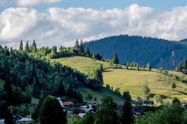 beautiful summer landscape of carpathian mountains, europe