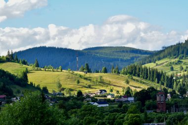 carpathian mountain valley in summer season. beautiful green meadow with red flowers.