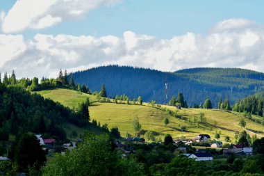carpathian mountains landscape in ukraine in sunny summer day.