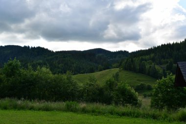 Ormandaki dağların güzel manzarası.