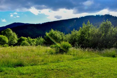 Mavi gökyüzü ve beyaz bulutlu yeşil alan