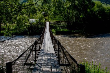 Ormanda ahşap köprü