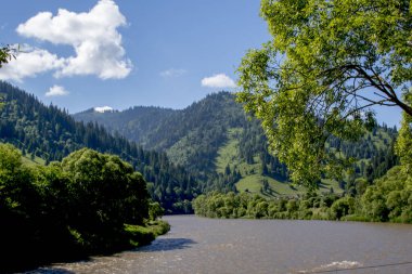 Ormandaki dağların güzel manzarası