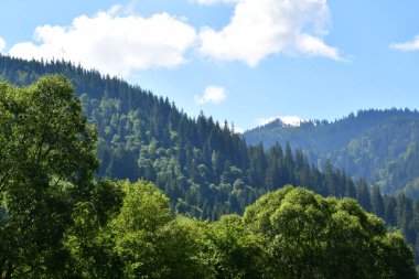 Dağların güzel manzarası