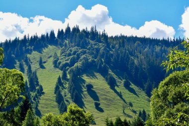 Karpat dağlarında yaz manzarası