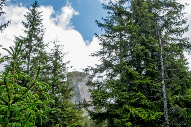 Dağların güzel manzarası