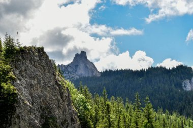 Karpatlar'ın güzel dağlarda