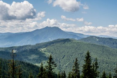 Karpat dağlarının manzarası.
