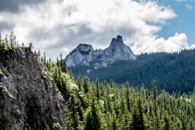 Karlı güzel dağ manzarası
