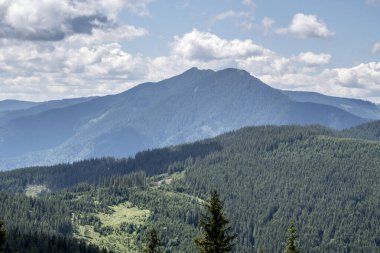 Karpat dağlarının güneşli havadaki güzel manzarası, yaz