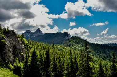 Dağlarda ormanı olan güzel dağ manzarası