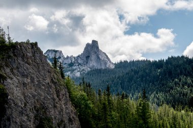 Dağların ortasında bir ağacın olduğu güzel bir dağ manzarası.