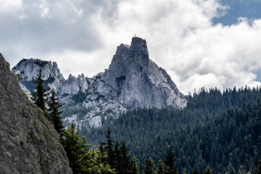 Ormandaki dağların güzel manzarası.