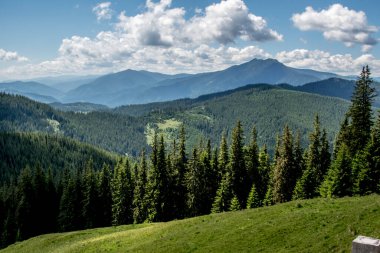 paesaggio estivo nelle montagne dei Carpazi.