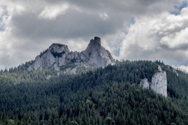 Karpat Dağları 'ndaki güzel dağ manzarası, yaz