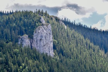 Czech Cumhuriyeti 'nin güzel doğası