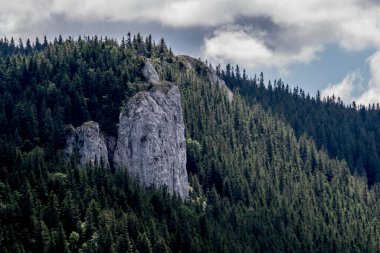 Polonya'da güzel dağ manzarası