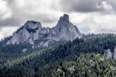 Gökyüzündeki bulutların arka planındaki orman ve dağların manzarası.