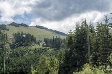 Dağlardaki yeşil orman.
