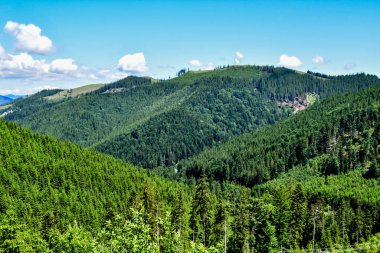 Yeşil orman ve dağlarla dolu yaz manzarası