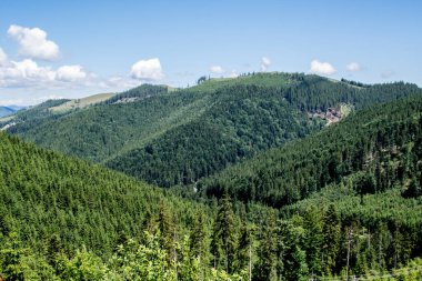 Dağlardaki güzel yaz manzarası. Karpatyalı, Ukraynalı