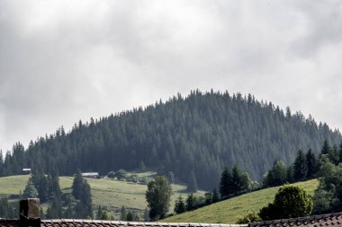 Sabahleyin dağların manzarası