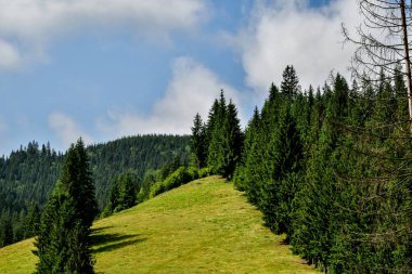Dağları ve mavi gökyüzü olan güzel bir manzara.