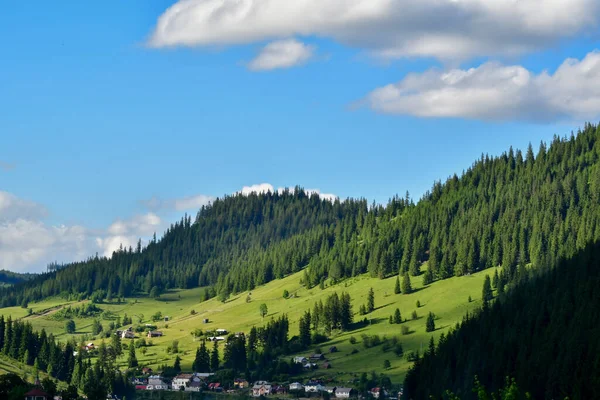 Dağlı güzel yaz manzarası