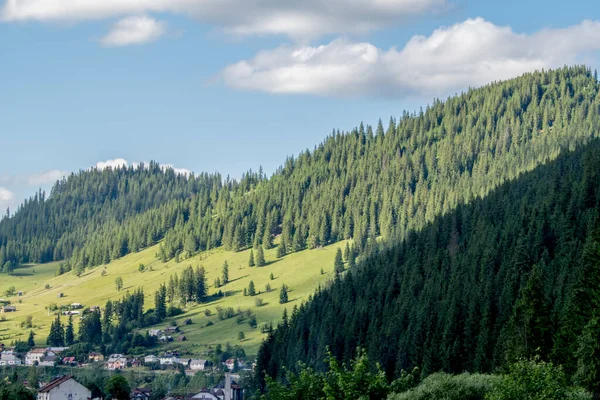 Yazın dağ manzarası
