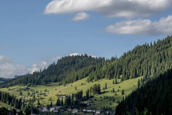 Karpat dağları olan güzel bir manzara.