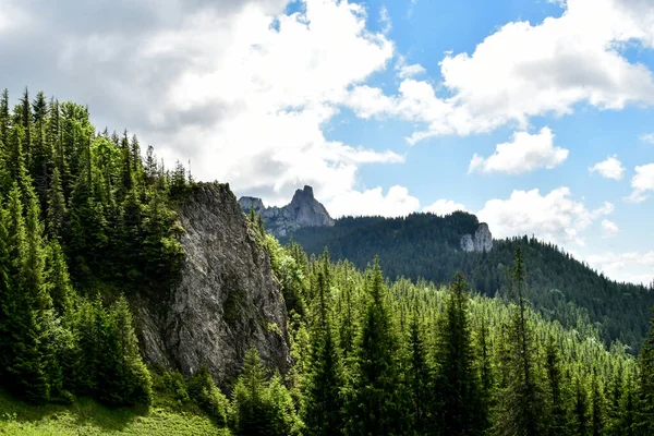yeşil orman ve dağ zirveleri