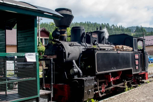 Karpatlar 'da bir dağ treninde buharlı lokomotif
