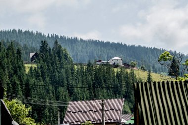 Doğanın güzel manzarası