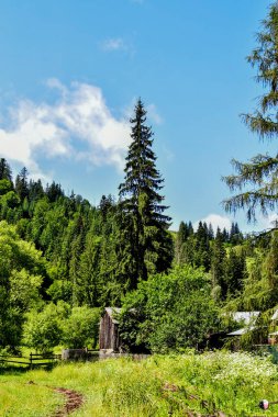 Ormanı ve mavi gökyüzü olan güzel dağ manzarası