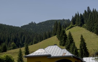 Yaz aylarında Karpat Dağları