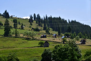 Karpatlar 'daki güzel dağ manzarası