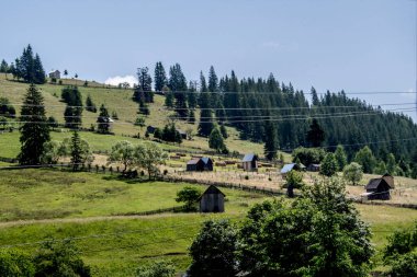 Karpatlar 'daki güzel dağ manzarası