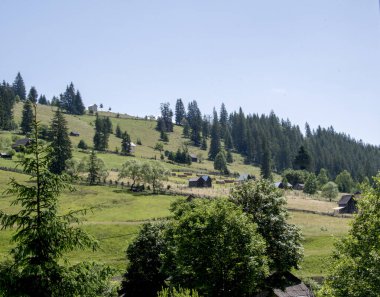Yazın dağ manzarası