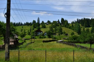 Yazın Karpat Dağları manzarası, Ukrayna
