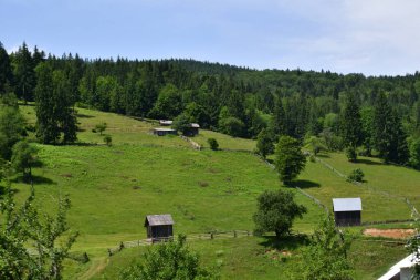 Güneşli bir havada Karpatlar 'ın dağını görmek