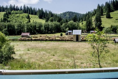 Dağlarda yeşil çayır