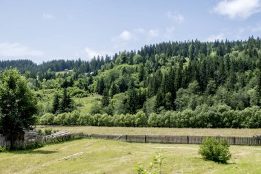 Yazın Karpat dağlarının güzel manzarası