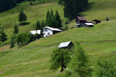 Dağları ve ağaçları olan yeşil çayır.